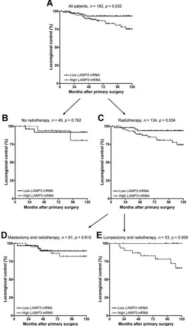 Figure  6C)  and  overall  survival  (OS)  time  (p  =  0.019,  see  Figure  6D),  confirming  the  prognostic value of LAMP3 mRNA levels in this patient group on the protein level