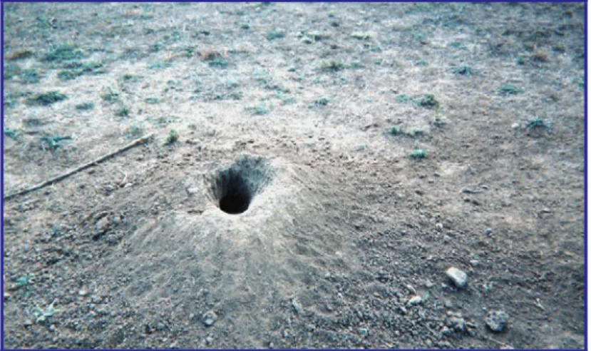 FIGURE 3.9-7.  PRAIRIE DOG BURROW 