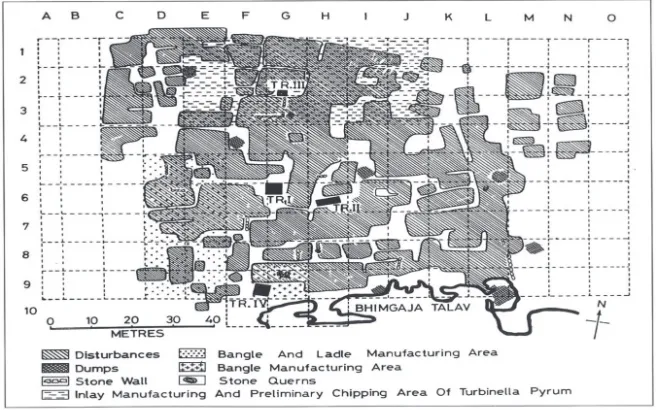 Fig. 3. Grid plan of the site showing position of excavated trenches and distribution of craft activities