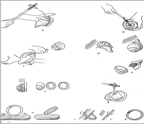 Fig. 7. Sequential stages of shell ladle manufacture from C.ramosus gastropods