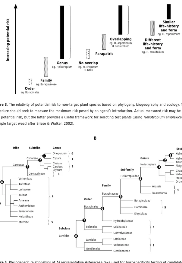 Figure 3. The relativity of potential risk to non-target plant species based on phylogeny, biogeography and ecology