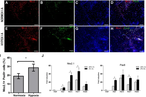 Fig. 4. Representative images of immuno-fluorescent staining for TSHR on day 10 of the differentiation process