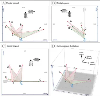 Figure 8. Graphical illustration to demonstrate the with the software GeoGebra 5.0); shifts in the transversal and the vertical direction; synopsis of panels A–C in order to display the graphical relation of POIs in 3-dimensional space