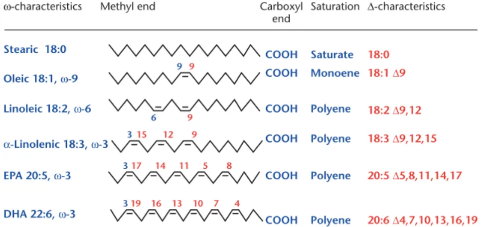 Figure 2 Structure of different unbranched fatty acids with a methyl end and a carboxyl (acidic) end