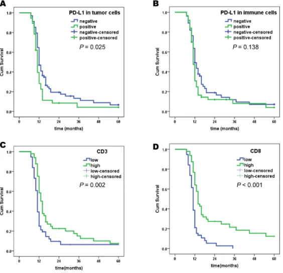 Table 2: Relationship of PD-L1 expression and T cell density in gastric cancer