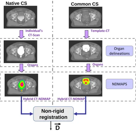 Figure 3. The hybrid non-rigid registration (NRR) approach, bringing 3D doses from their native coordinate system (CS) to the common CS