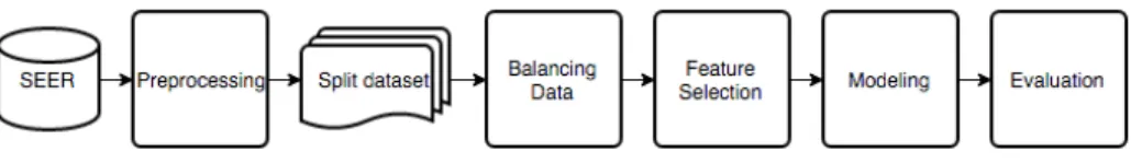 Fig. 1. Workflow for the development of the prediction model.