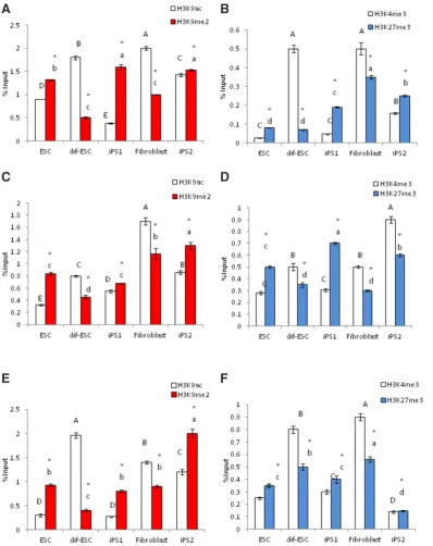 Fig. 7. Chromatin immunopre-