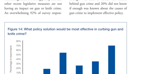 Figure 14: What policy solution would be most effective in curbing gun and