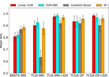 Table 2 Feature importance of proposed DP image and molecular features obtained using the DP-TCGA dataset and RF classifier.