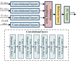 FIGURE 5. The pipeline of the baseline multi-stream 2D convolutional network architecture for glioma subtype classification