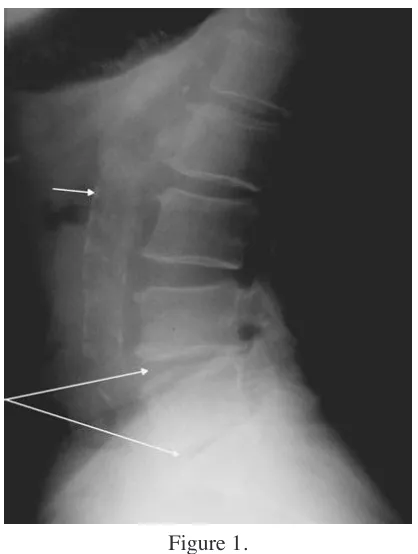 Figure 1.  