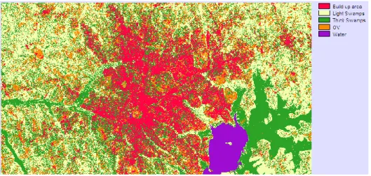 Figure 4.1: Map generated with BSI using 2 bands 