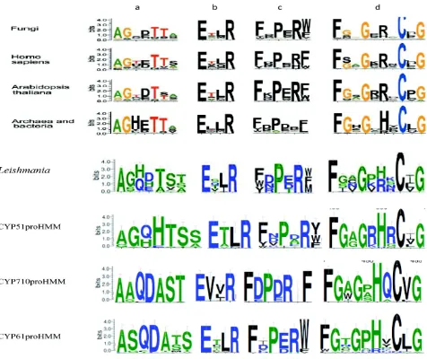 Fig. 1: Sequence logos of the conserved CYP motifs of Leishmania and their comparison with fungi, human, plant and prokaryotes.The figure also illustrates a comparison with three individual profiles, i.e