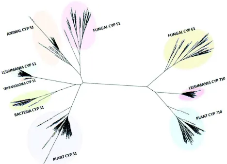 Fig. 3: Phylogeny of Leishmania CYP51s, CYP710s and Trypanosoma brucei CYP51 and their counterparts from animal, plant,bacteria and fungi