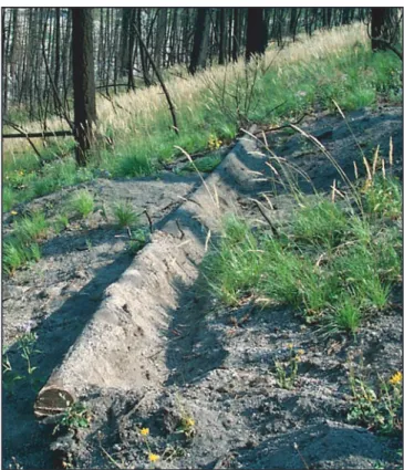 Figure  8. A  contour-felled  log  erosion  barrier  with  soil  end  berms to increase sediment storage capacity