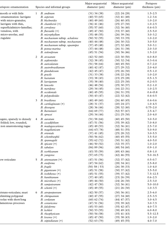 Table I. Characters of spores in species of Blechnum.