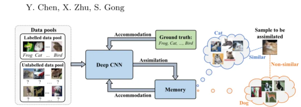Fig. 1. Illustration of the memory-assisted semi-supervised deep learning framework that integrates a deep CNN with an external memory module trained concurrently.