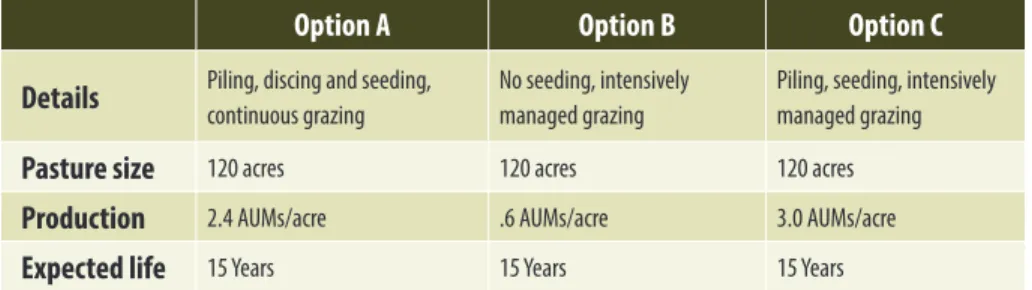 Table A.1 Summary of pasture seeding options for cost–benefit analysis example.