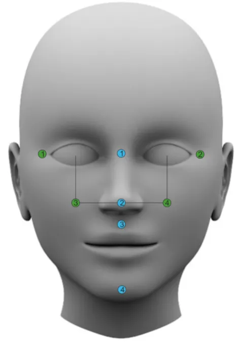 Figure 7.8: Optional locations for placing markers for horizontal head orientation (indicated in green) and verticalhead orientation (indicated in blue).