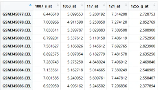 Figure 2.5. An example of microarray data in RStudio environment (RMA normalized)