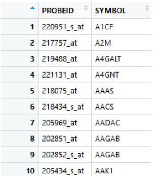 Figure 3.1. A truncated gene table in R studio environment