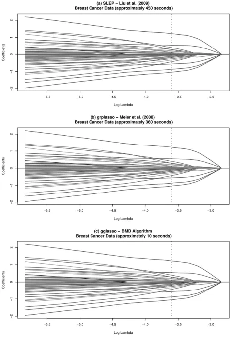 Figure 3.1: Fit a sparse additive logistic regression model using the group-lasso on the breast cancer data [43] with n = 42 patients and 22, 283 genes (groups)