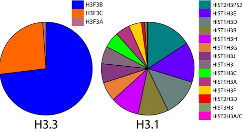 Fig. 2. Proportional representation by transcript count for H3.3 genes (left) and H3.1 genes (right)