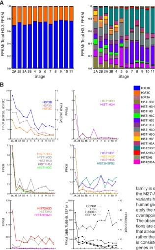 Fig. 3. Development-associated H3 transcript accu-mulation.showing collective FPKM for each H3 gene at each developmental stage