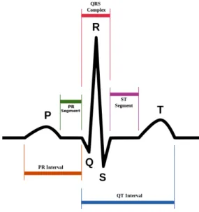 Figure 1. Schematic representation of normal ECG 