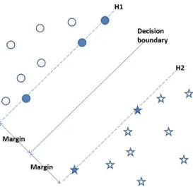 Figure 2.1: Decision boundary created by a two class SVM classifier