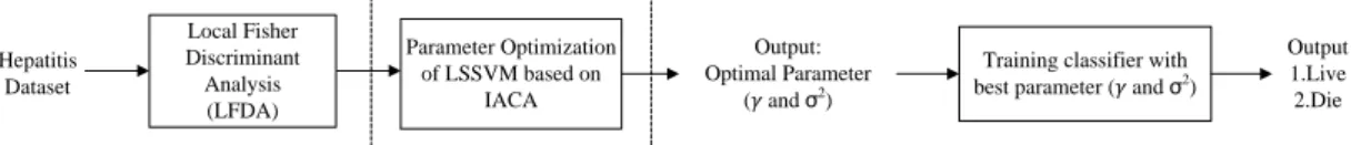 Figure 1. Hepatitis classification system 