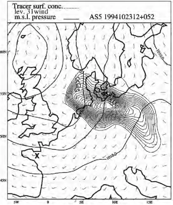 Figure 1. Modelled surface concentration at 48 hours after the beginning of the release (52 hours after the start of the simulation) by using the Eulerian central difference advection scheme