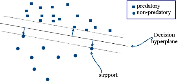 Figure 6. An example of showing the output of SVM for a binary classification as well as the  margin and three support vectors