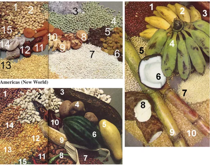 Fig. 5-2. Origin of basic crops.  Source: J.N. Leonard 1973, First Farmers.