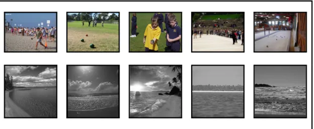 Figure 1.1 – Examples of scene categories exhibiting intra-class variability. Top: structural variability in images from the scene category “bocce”