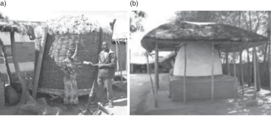 Figure 2.8       Traditional granary (a) and improved granary/crib (b) in the Millennium Village  Project Mwandama, Malawi  (source: MDG Centre East and Southern Africa)