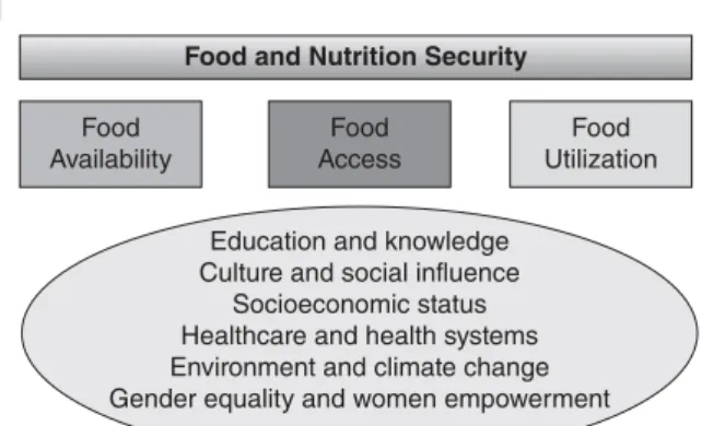 Figure 2.2       The  determinants  of  food  security   (source   [19] ).   