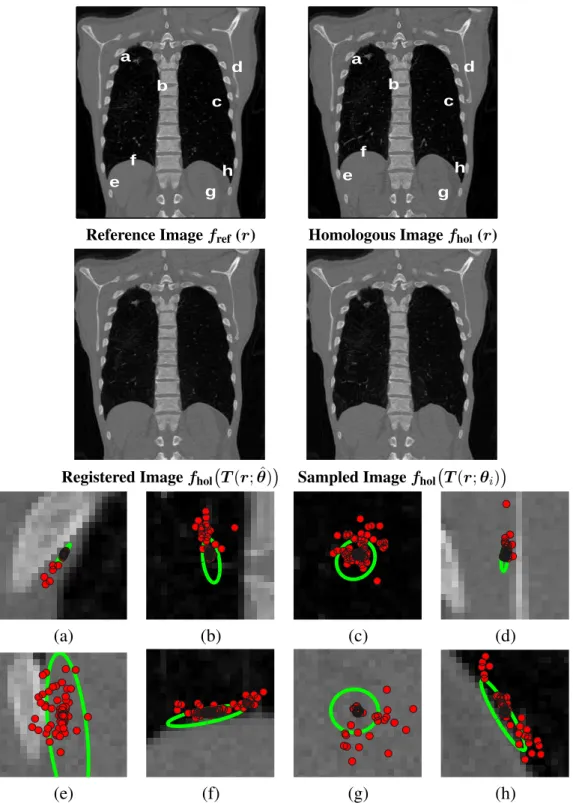 Figure 2.3: The top two rows show the 2-D dataset used in the first experiment, along with the registration result and an image synthesized using one of the sampled deformations.