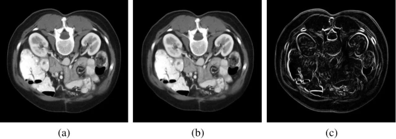 Figure 2.4: The dataset used for validation: (a) the homologous image f hol prq, (b) the reference image f ref prq  f hol T pr; θq 