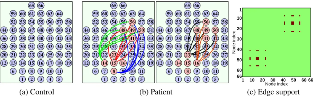 Figure 3.5: Schematic representations of the synthetic 4-D functional connectome data generated for the simulation experiments (best viewed in color)