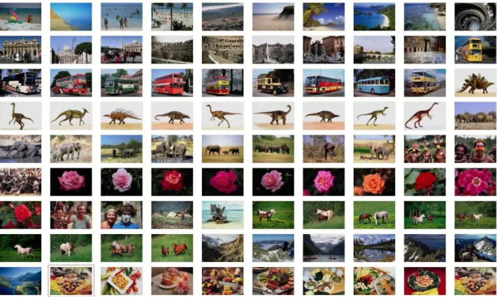 Figure 3.3: Sample images [32]. 