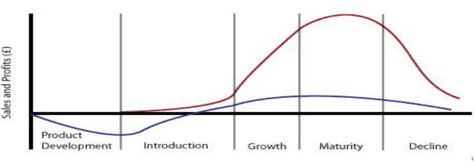 Figure 3: The Product Life Cycle 