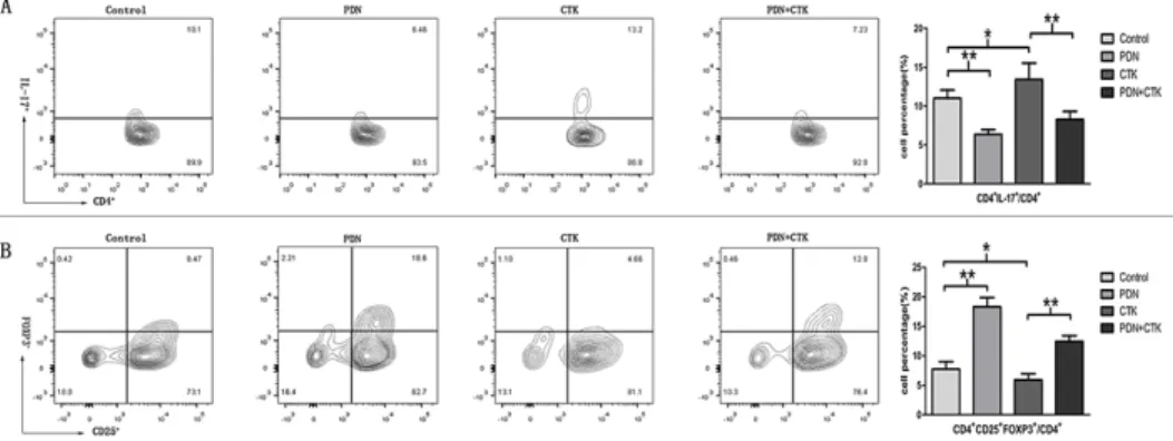 Figure 1: (A) Percentages of Th17/CD4 +  cells in control samples or samples treated with prednisone alone (PDN), cytokines  alone (CTK) or the combination of prednisone and cytokines (PDN + CTK)