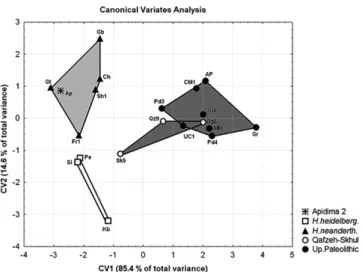 Figure 3. Canonical variates analysis, canonical axes 1 and 2. Abbreviated specimen labels as in Table 1