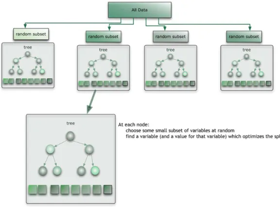 Figure 0-5: Relationship between Random Forest and Random Tree 