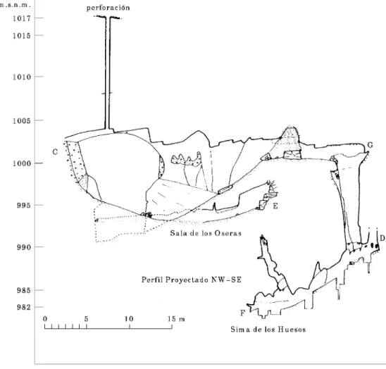 Figure 5. Profile of Sala de los Cíclopes, and projected profiles of Sala de las Oseras and Sima de los Huesos (by G