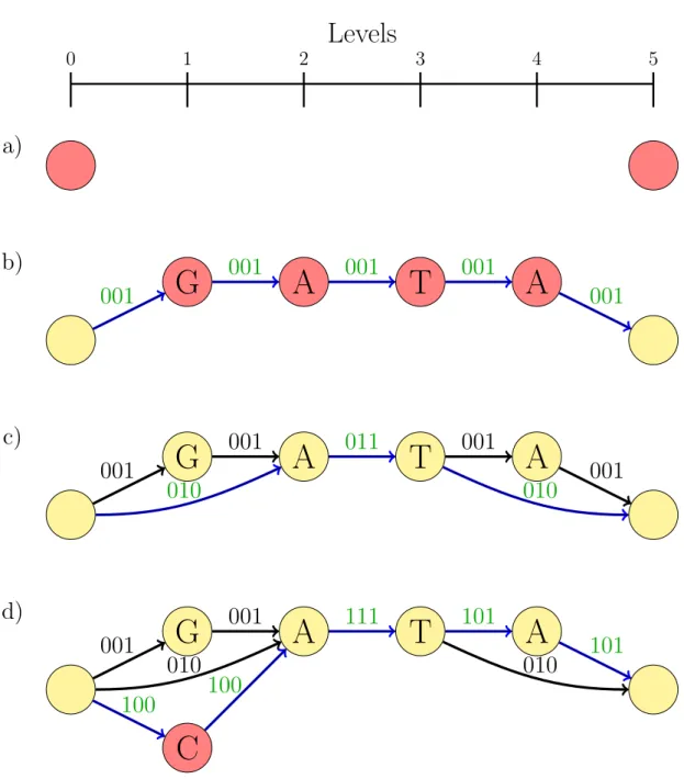 Figure 3.5: Create a partial order reference graph using three example exon sequences: