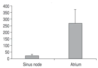Figure 12. Double labelling, connexin 43 (green) and caveolin 3 (red); A. Sinus node; B