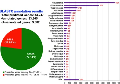 Fig. 6. Sequence similarities with other species of 33,365 annotated genes from the total 43,247 genes predicted in thegenome of mango cultivar ‘Amrapali’.